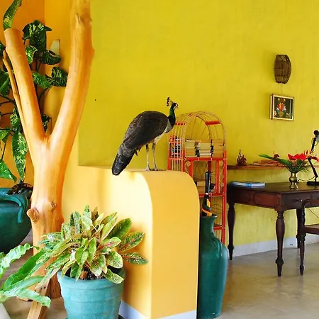Khomba Beach House Alankuda Exterior photo